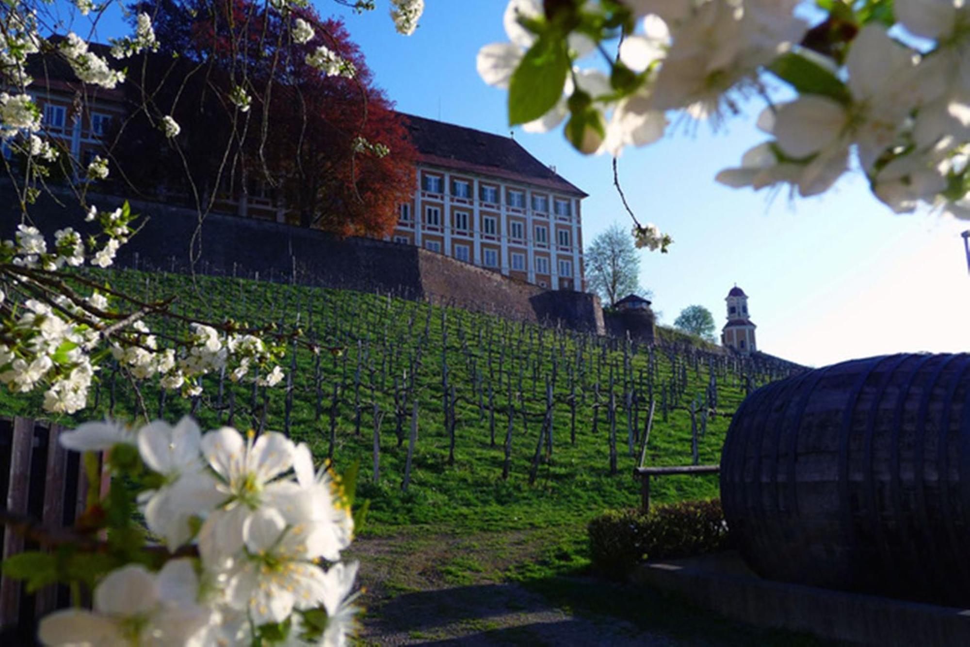 Hotel Stainzerhof ภายนอก รูปภาพ